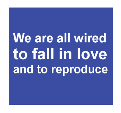 We are all wired to fall in love and to reproduce
